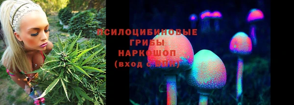 СК Бугульма