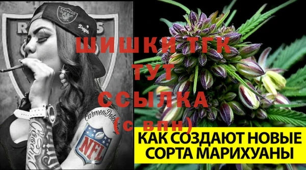 ALPHA PVP Бородино
