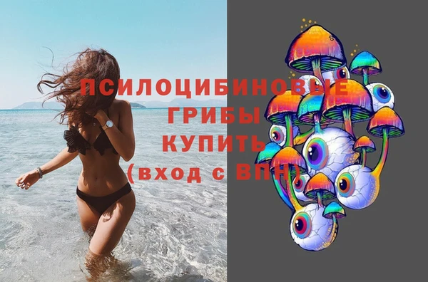 тгк Бронницы