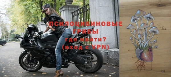тгк Бронницы