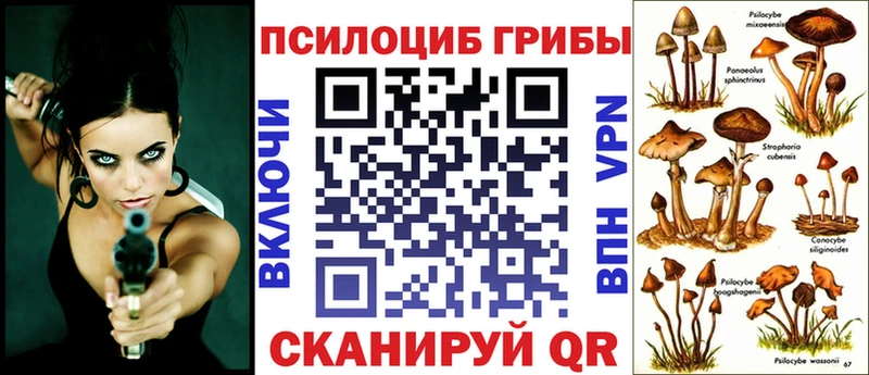 Галлюциногенные грибы мицелий  гидра ссылка  Можайск 