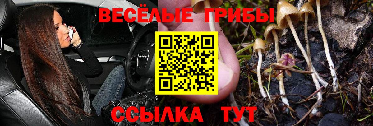 Можайск  Галлюциногенные грибы ЛСД  Вход с VPN 
