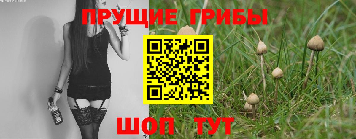 Alpha-PVP СОЛЬ   ГАШИШ  COCAIN  Вход с VPN  Меф МЯУ МЯУ   Где купить  Можайск  Бошки Шишки 