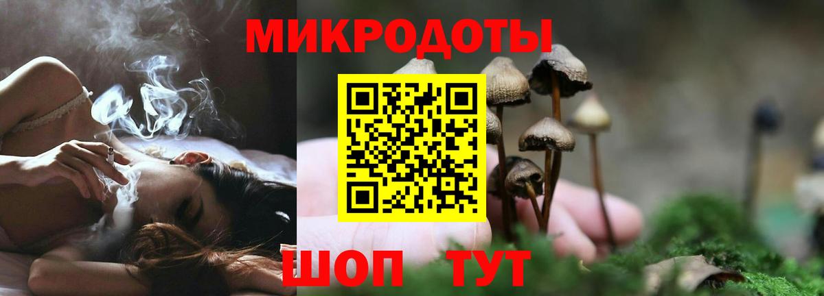 Псилоцибиновые грибы Magic Shrooms Можайск